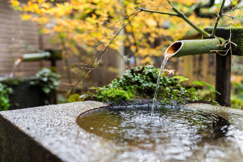 Find the best  Water Feature Installations companies on Remodelyng.com